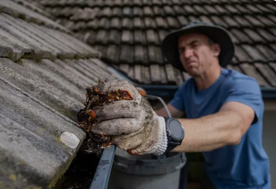 Importance of Gutter Maintenance - Sady Home Inspections